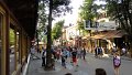 DSC02244 01
